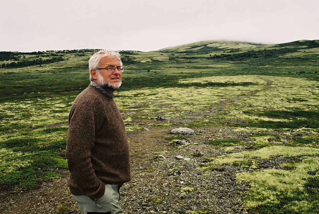 Rego på Dovrefjell