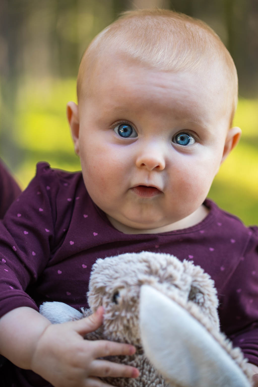 Nora