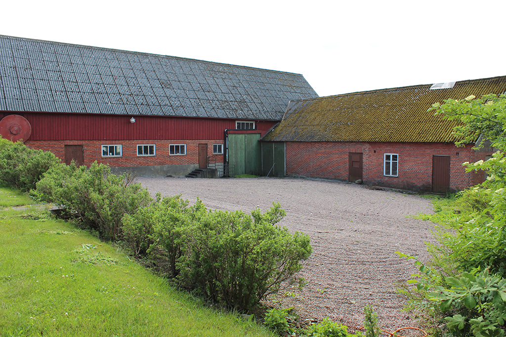 Åsa
