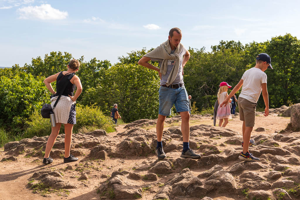 Stenbergs på Stenshuvud