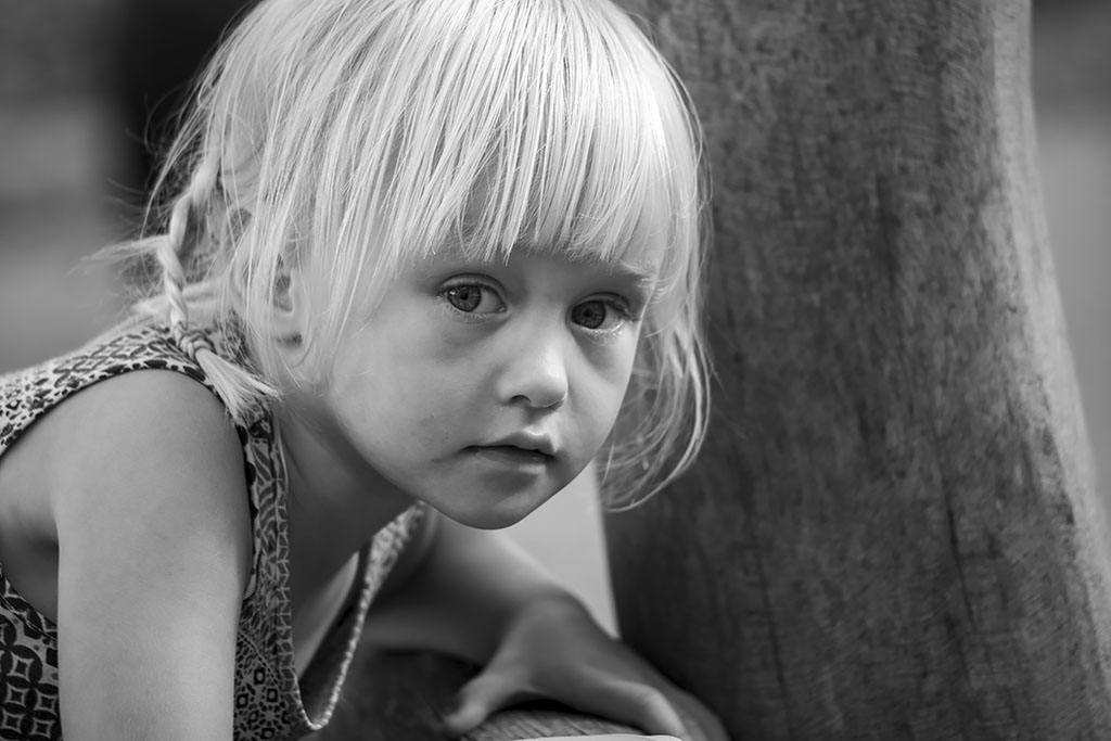 Signe