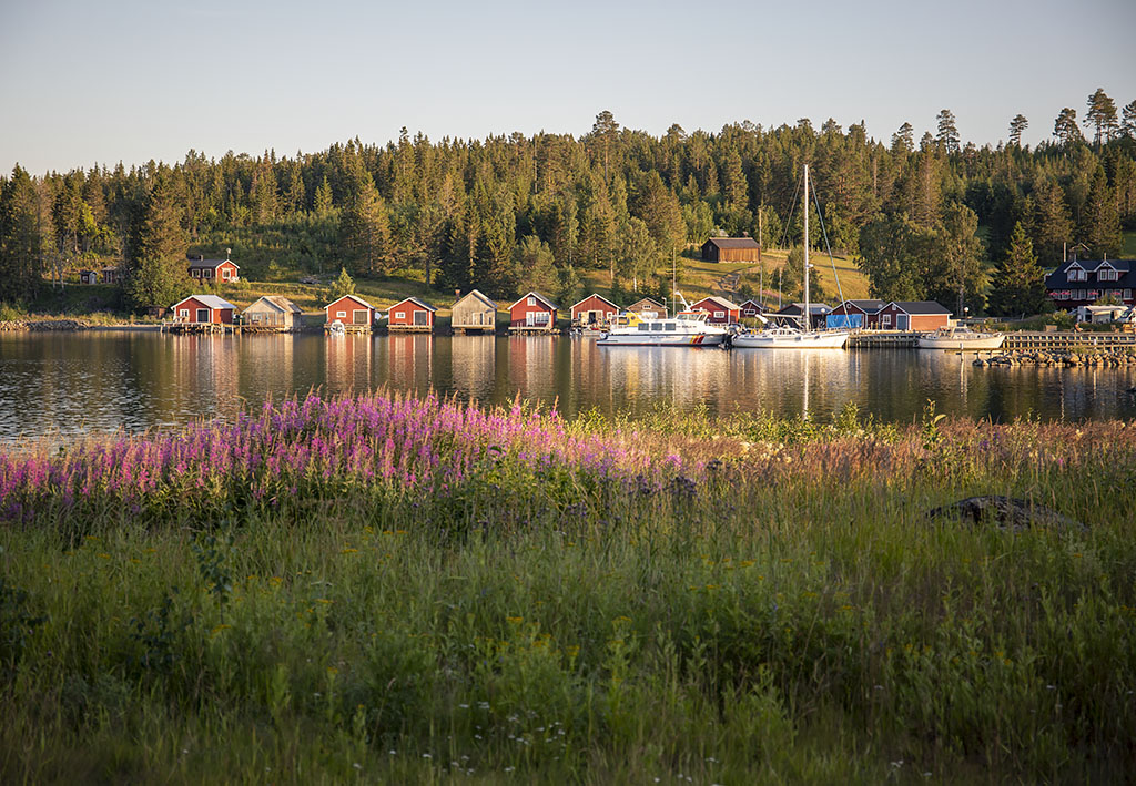 Barsta