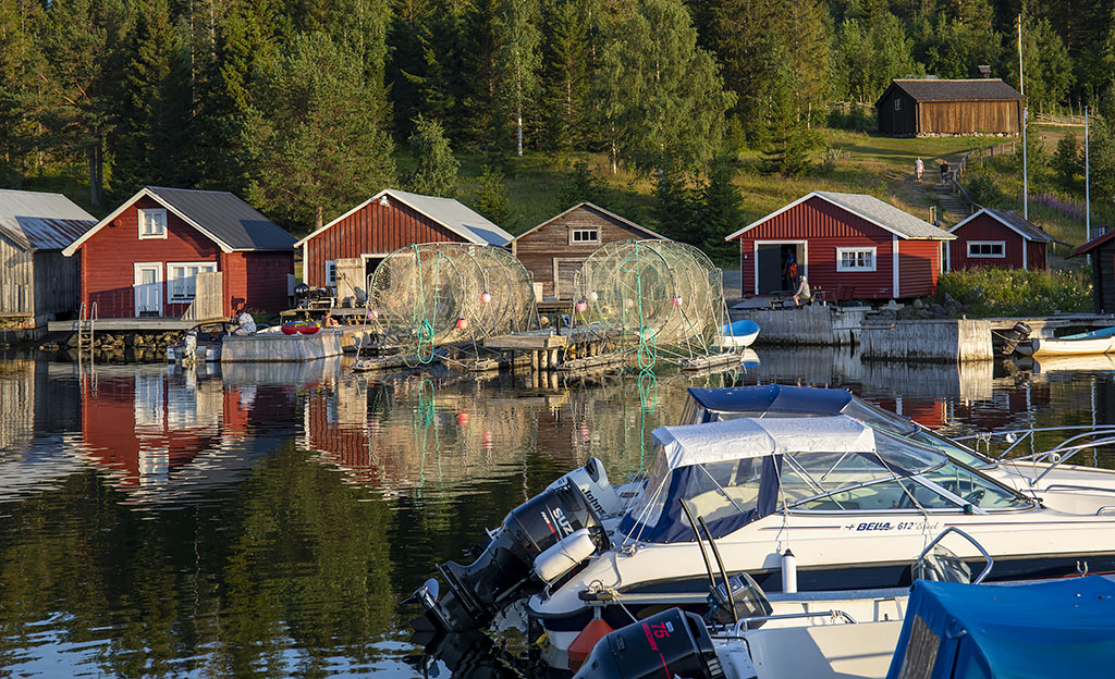 Barsta