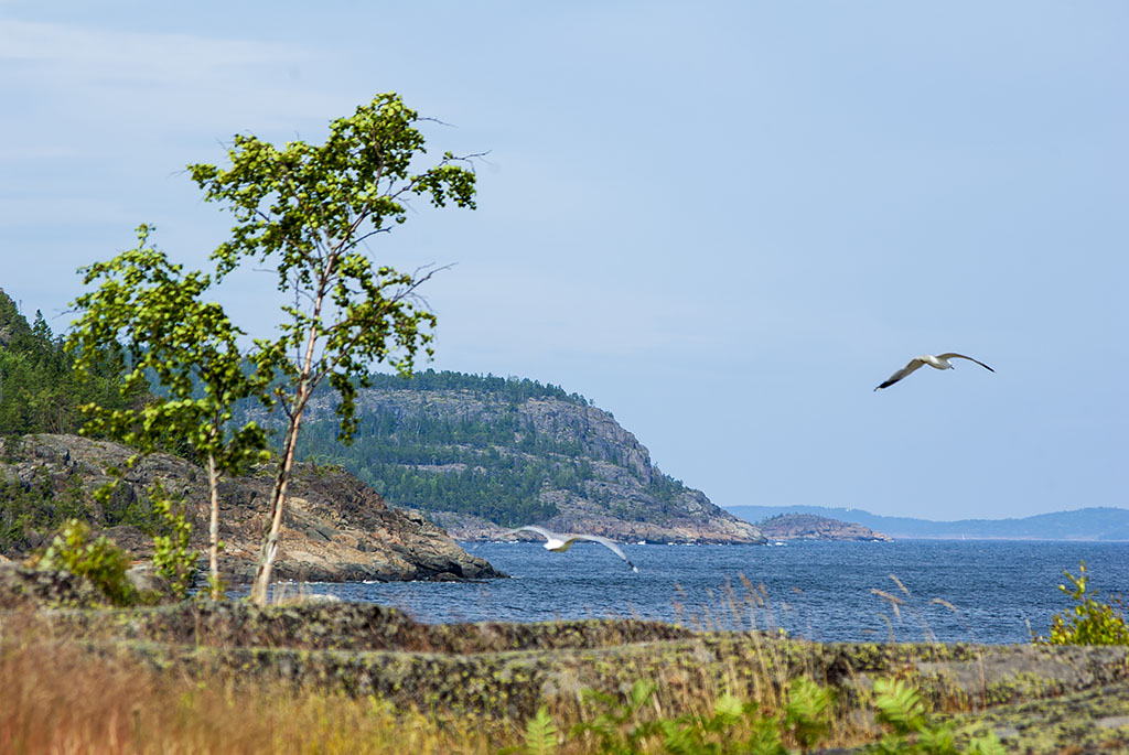 Bönhamn