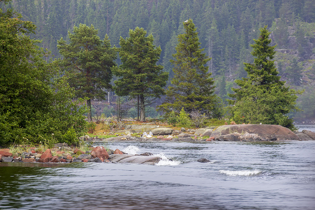 Ulvön