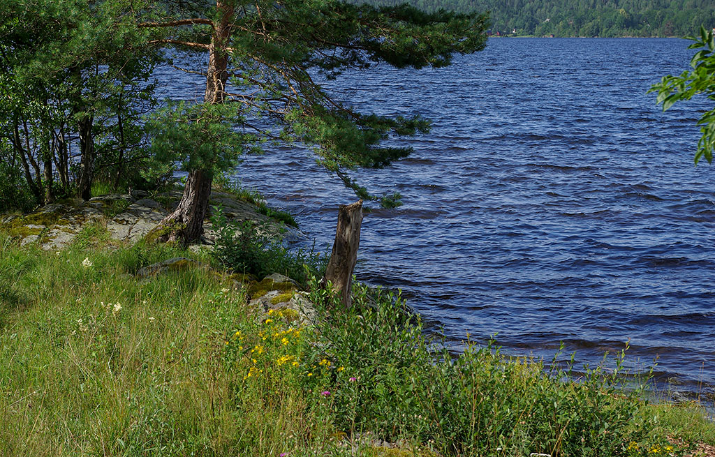 Högsbyn