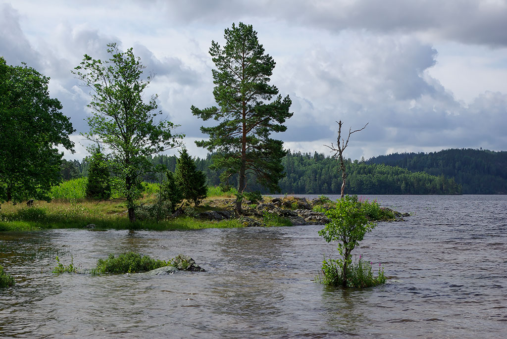 Högsbyn