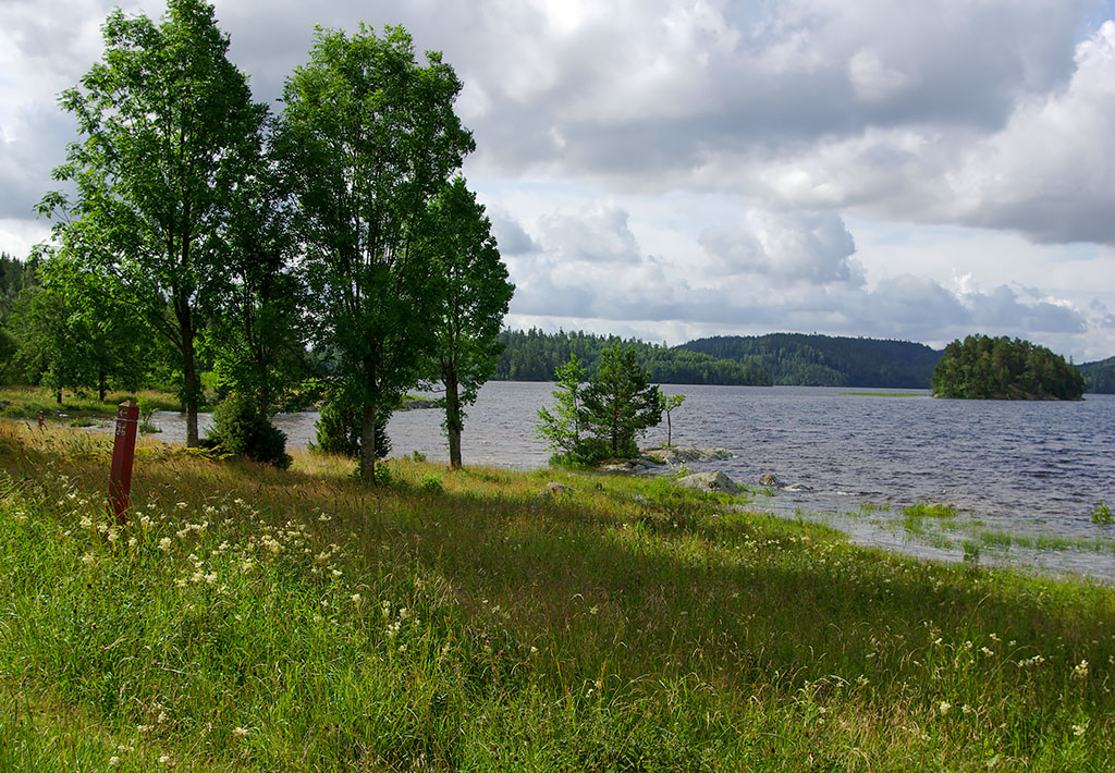 Högsbyn