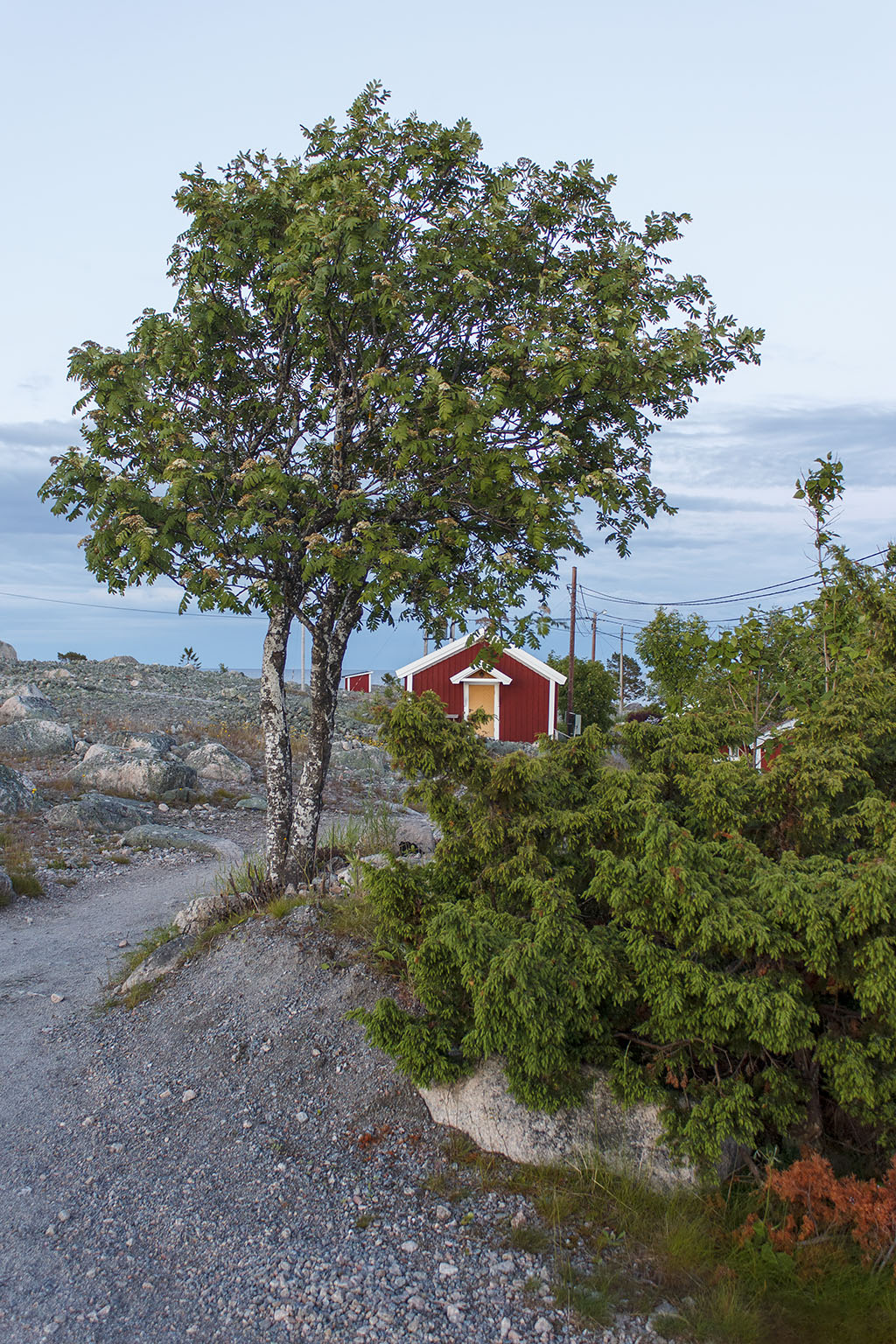 Kuggören