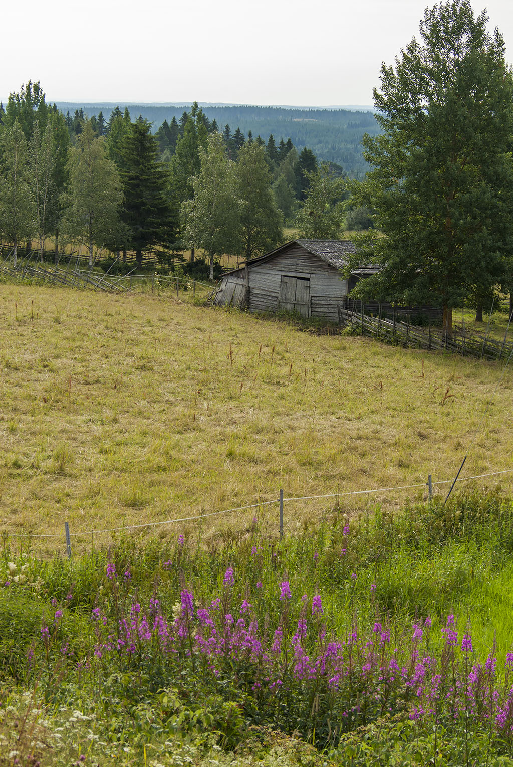 Jämtland