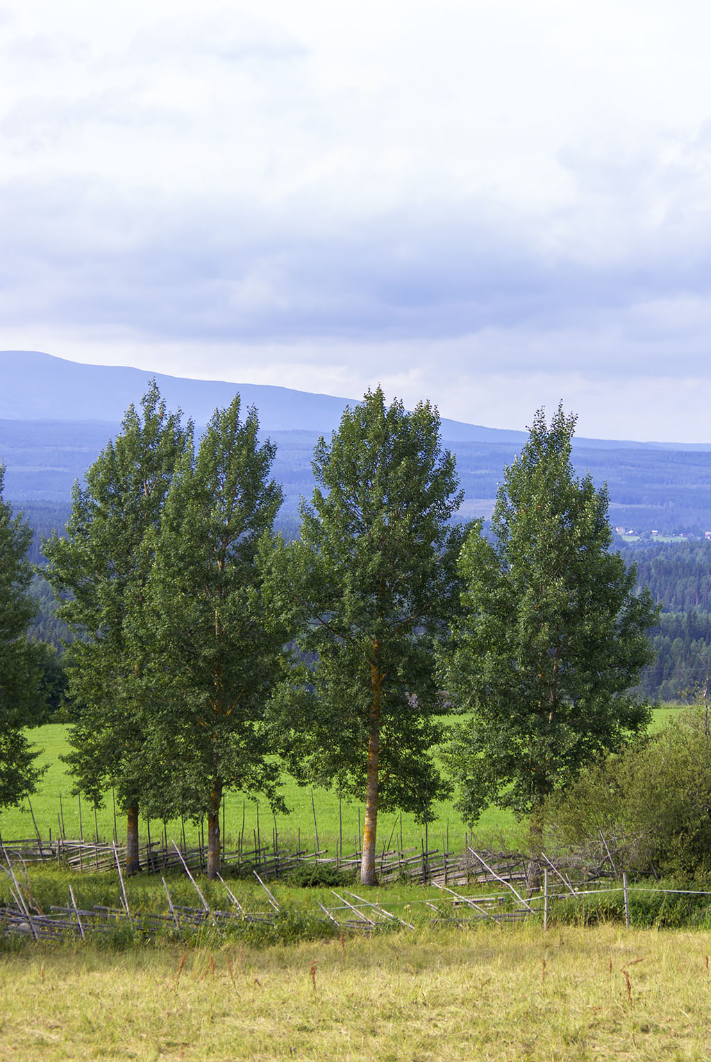 Jämtland