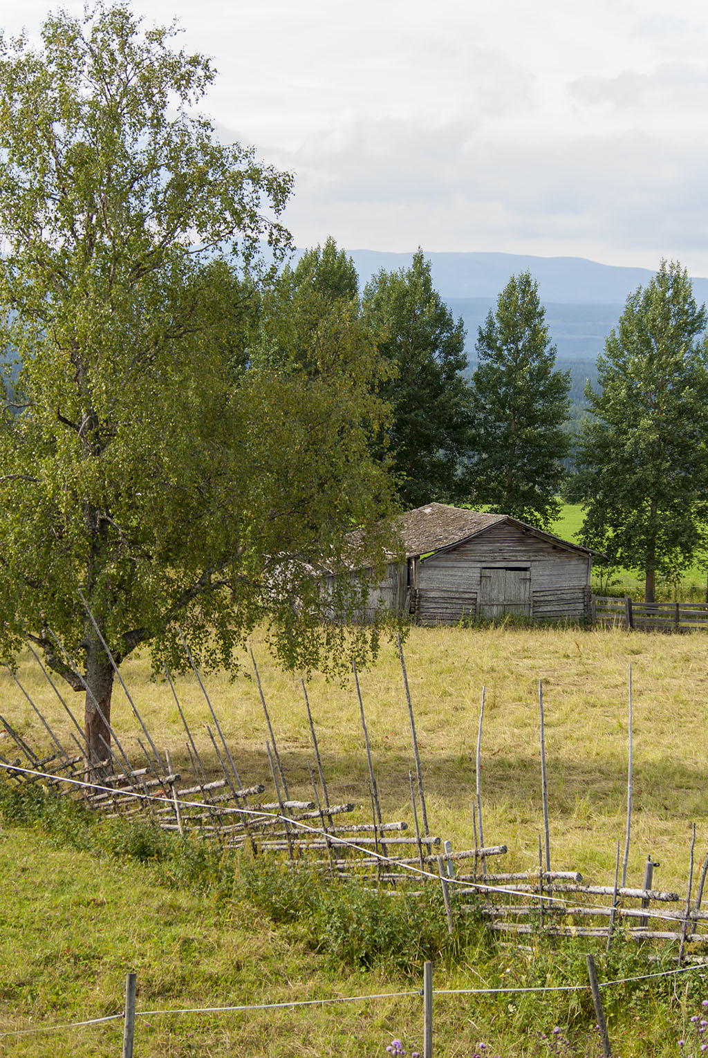 Jämtland