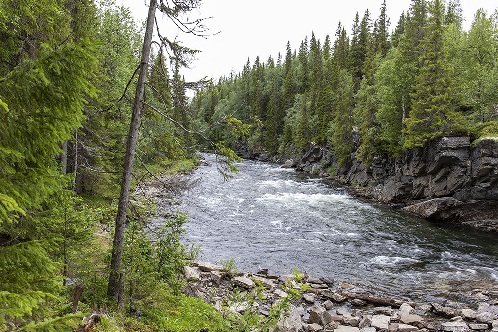 Hällingsåfallet