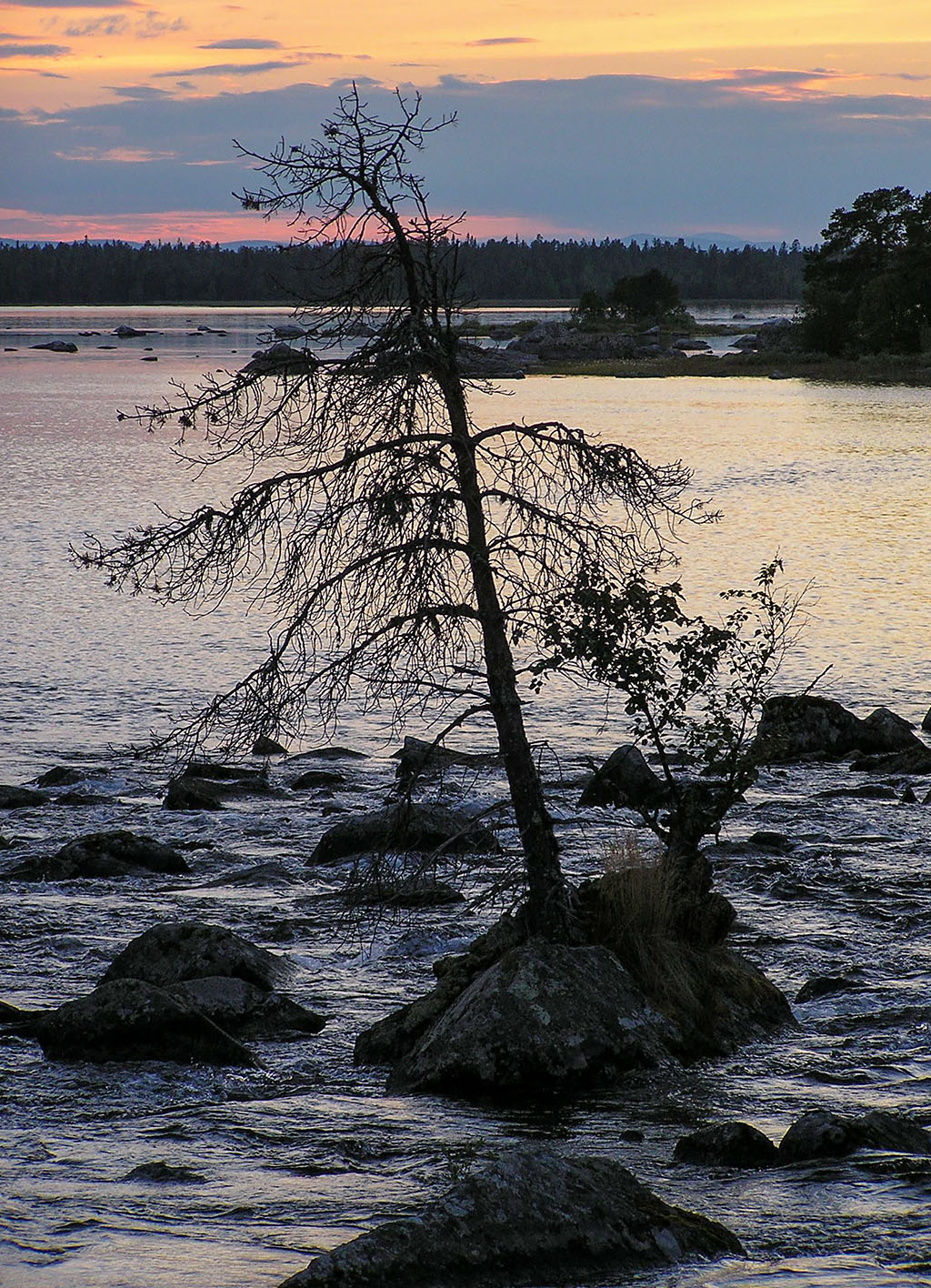 Arjeplogsströmmarna