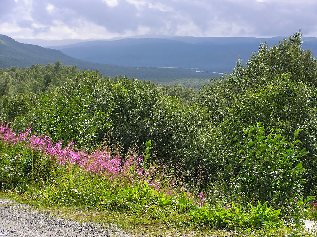 Tärnaklippen