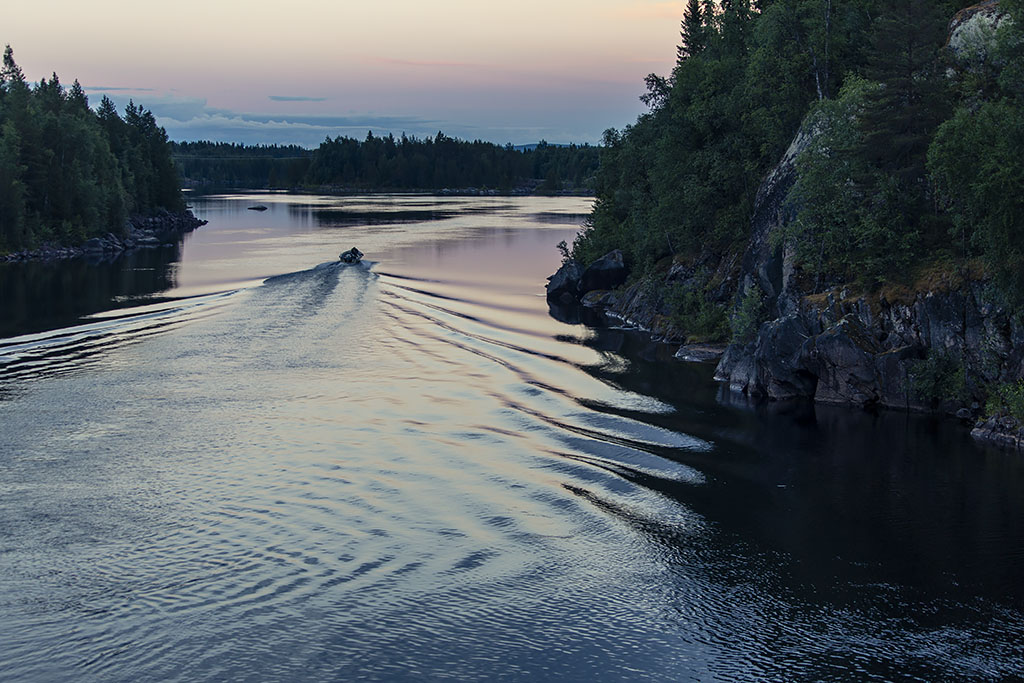 Vilhelmina