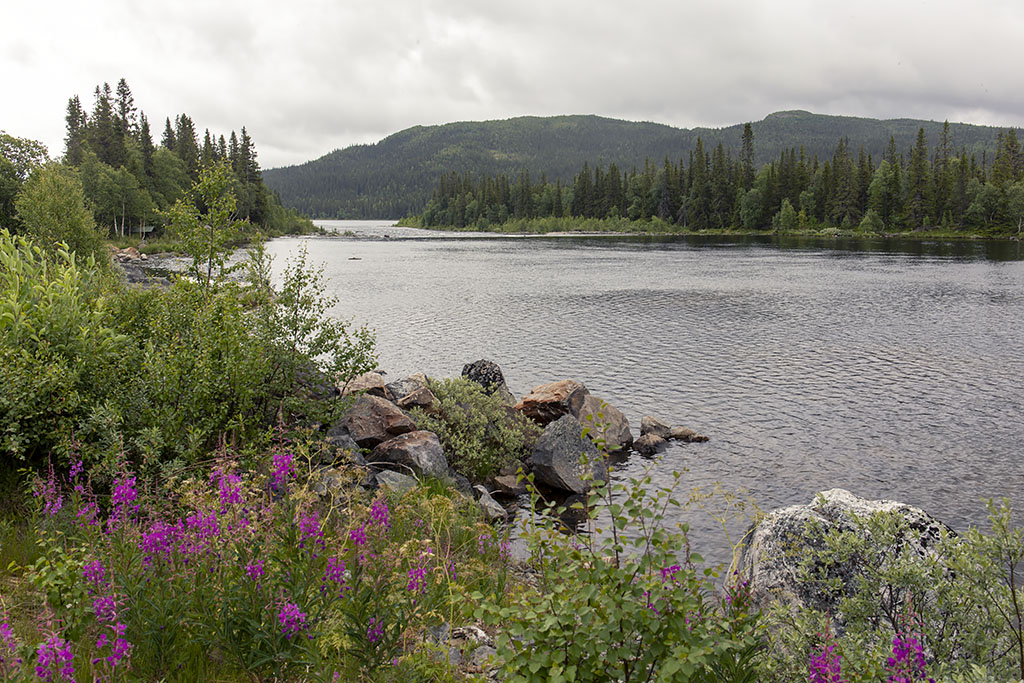 Kultsjöån