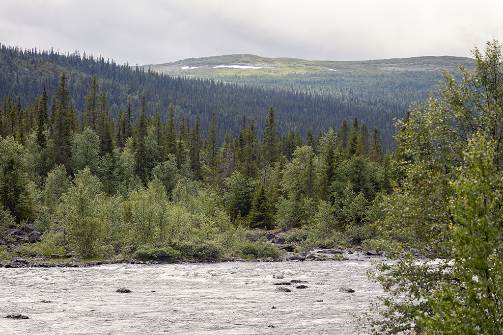 Kultsjöån