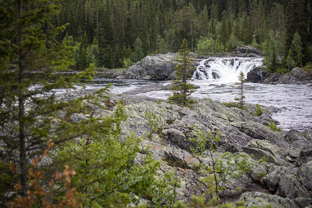 Kultsjöån