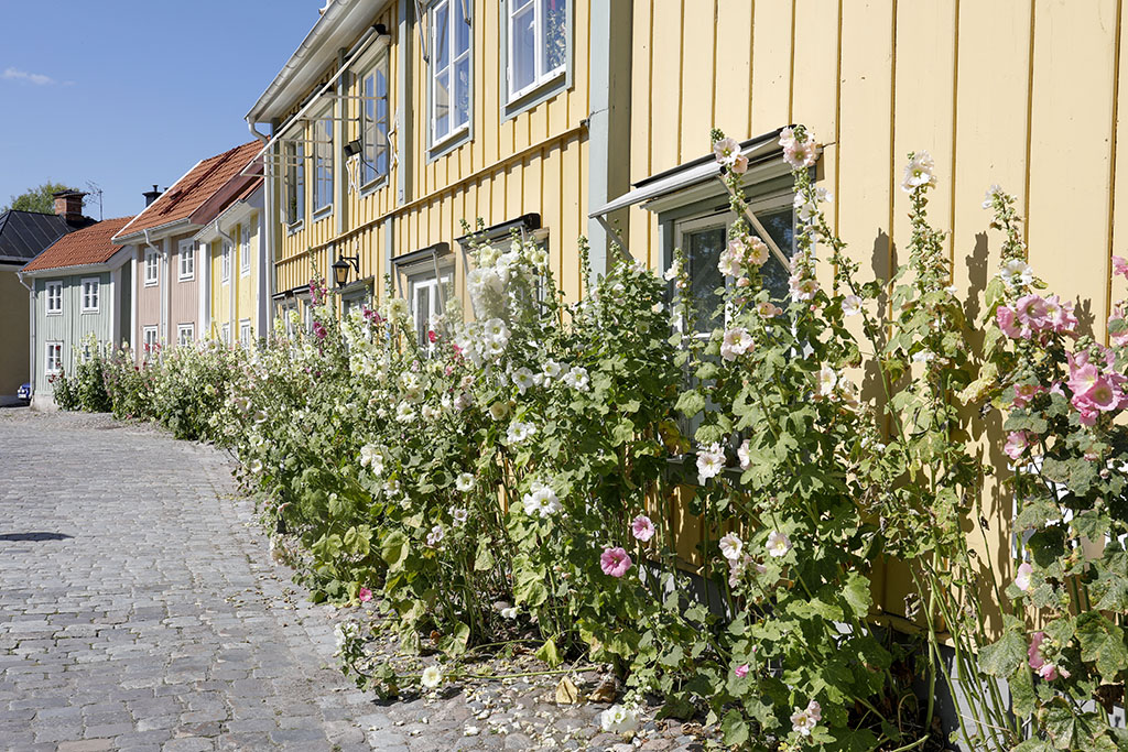 Söderköping