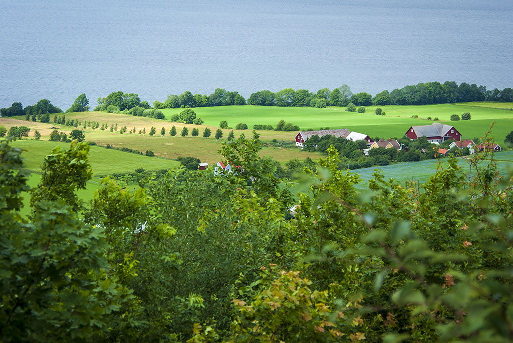 Brahehus