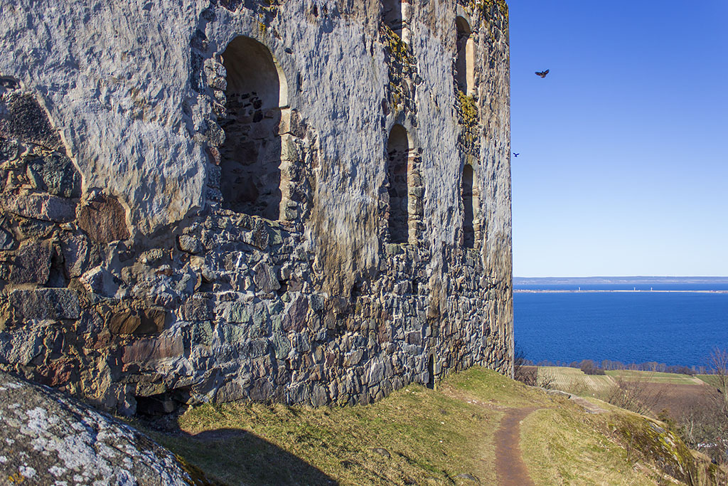Brahehus