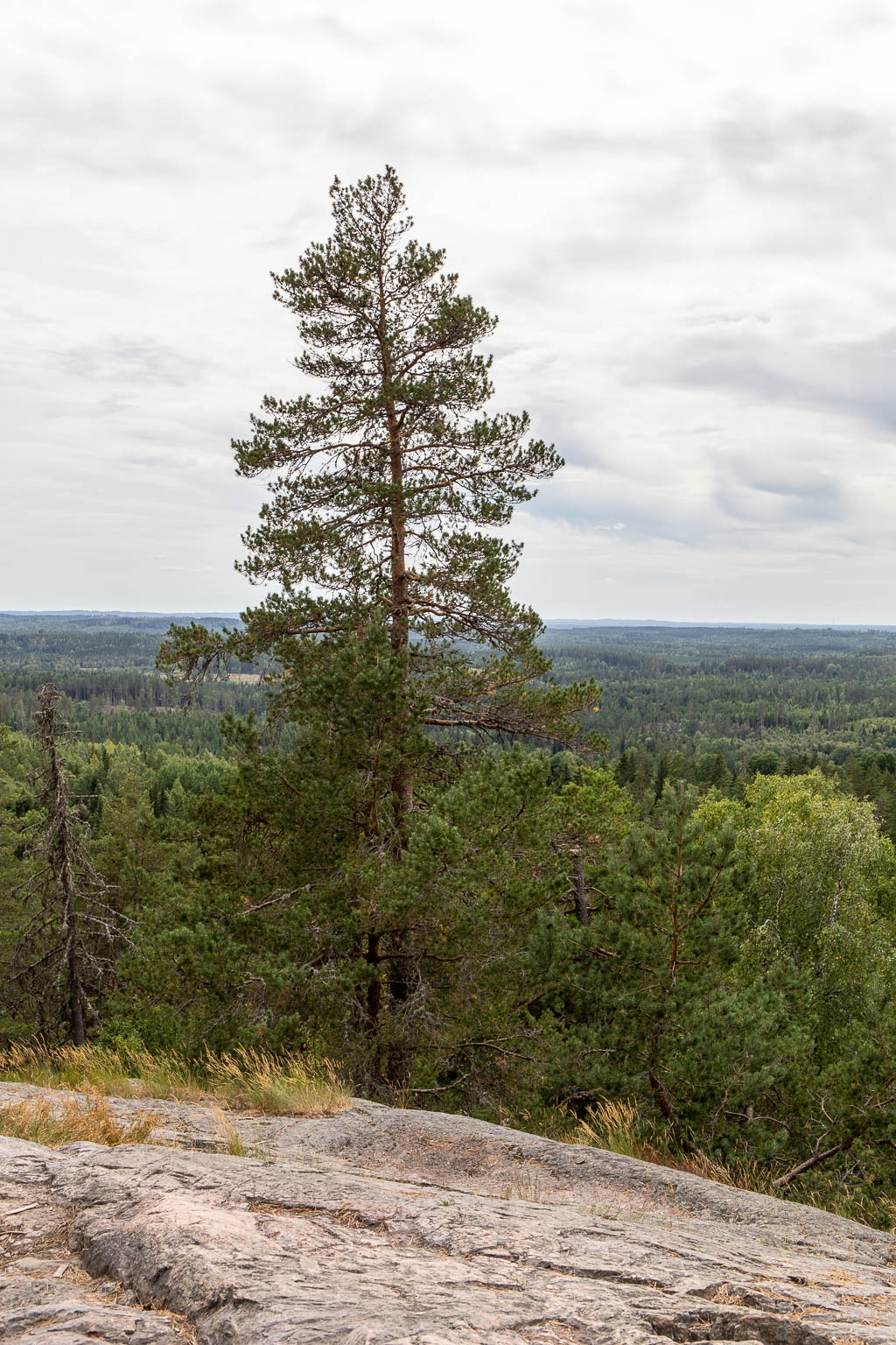 Skurugata