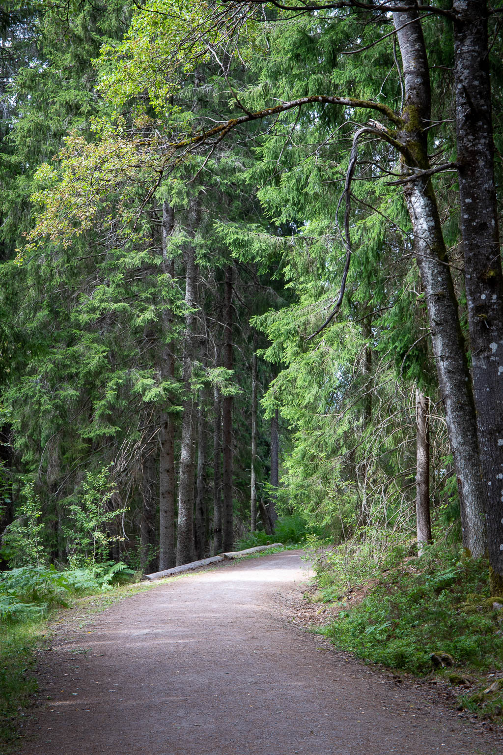 Skurugata
