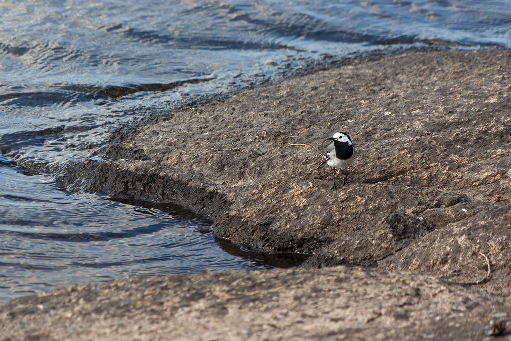 Långsjön