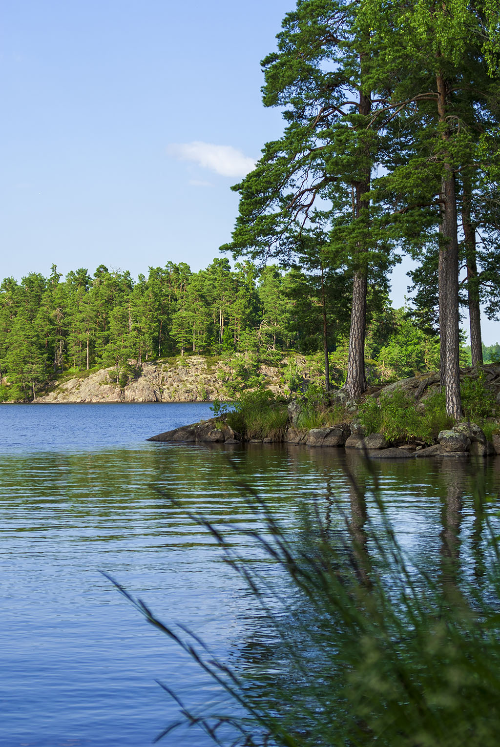 Långsjön