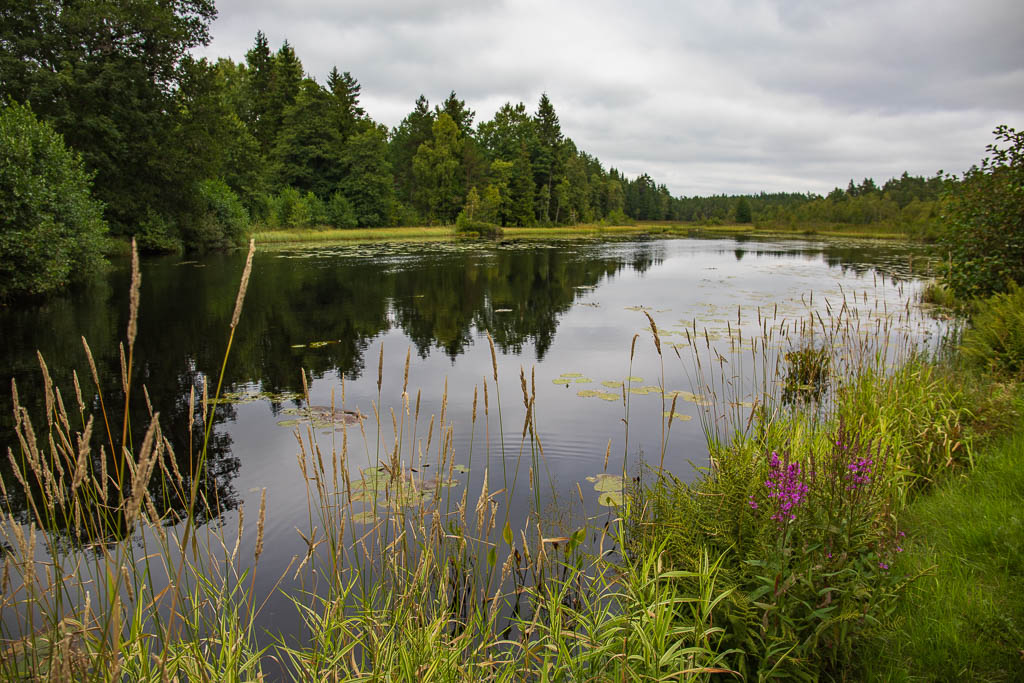 Vattenvy vid Forssa Kvarnagård