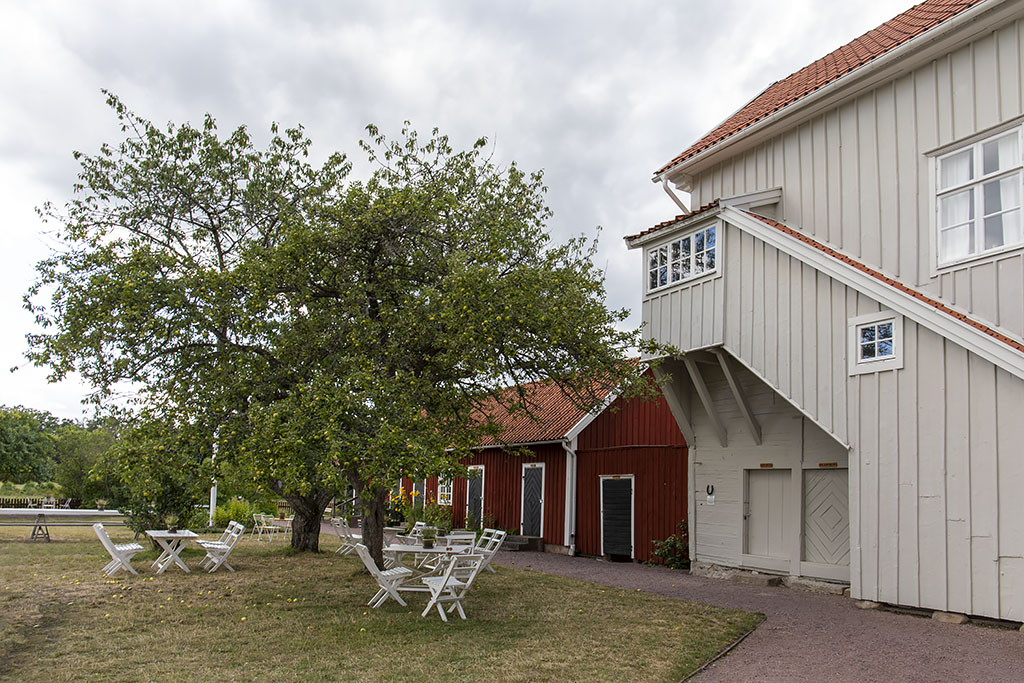 Pataholm