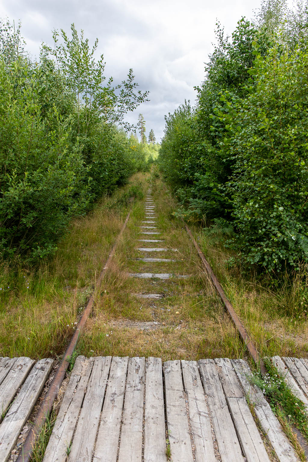 Järnvägsspår