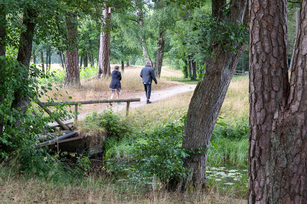 Kvarndammen