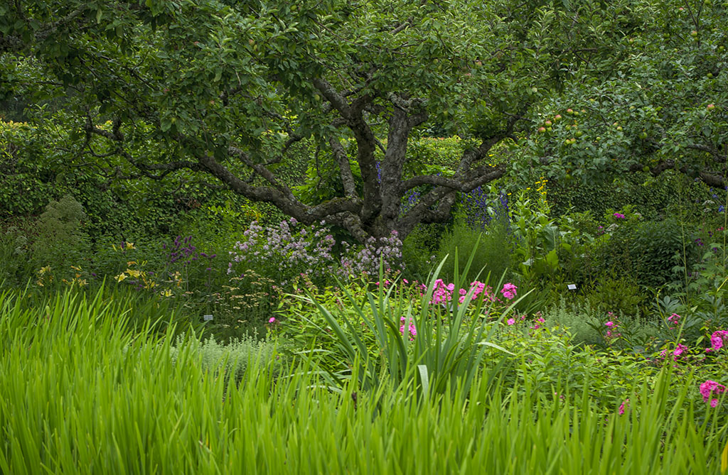 Selma Lagerlöfs trädgård