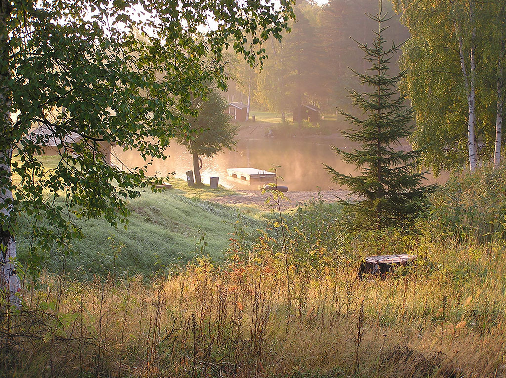 Bureå