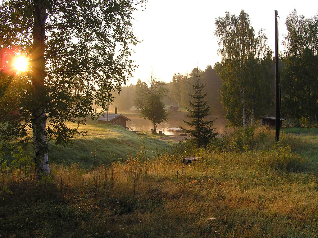 Bureå