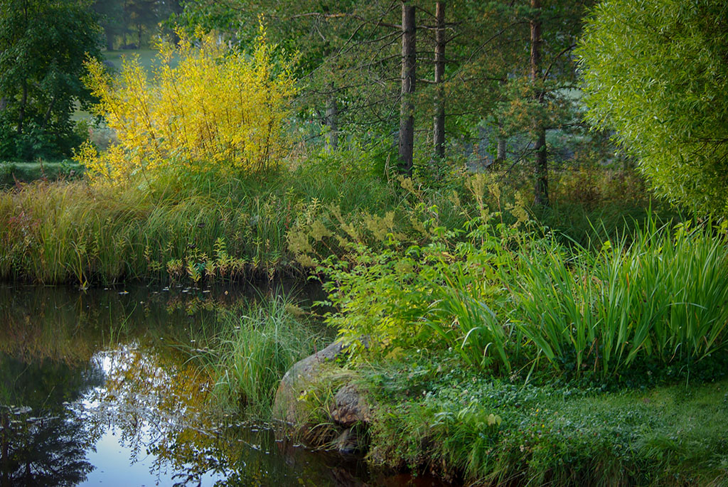 Bureå hembygspark