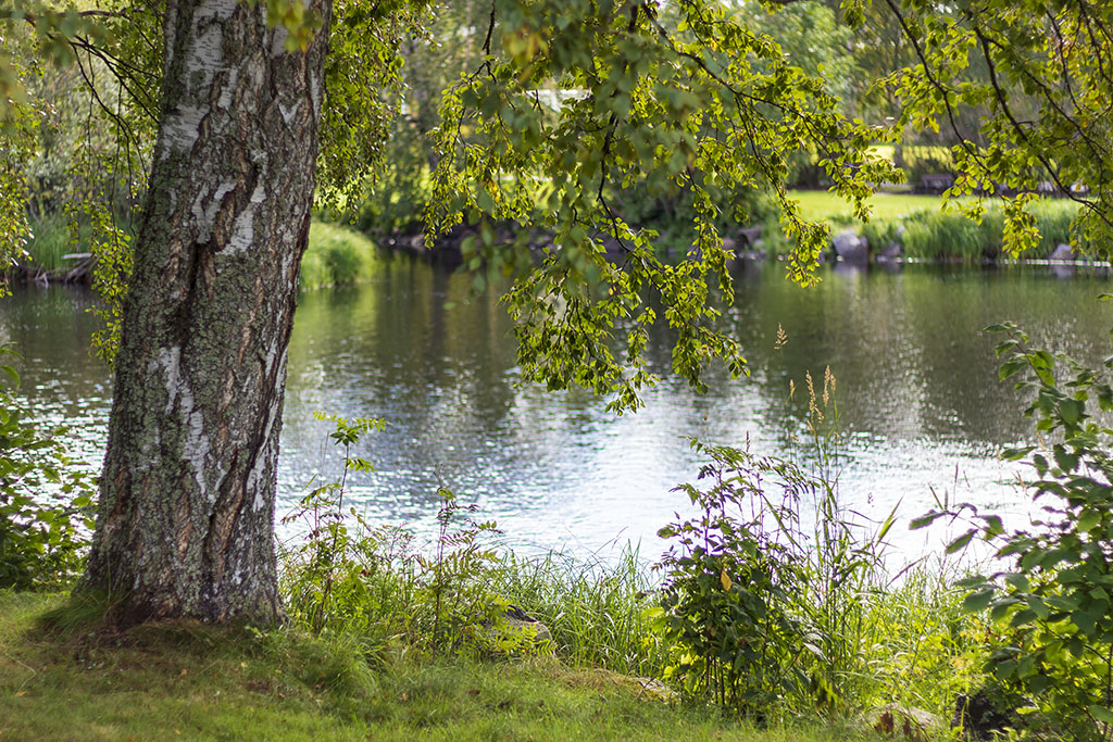 Bureå hembygsgård