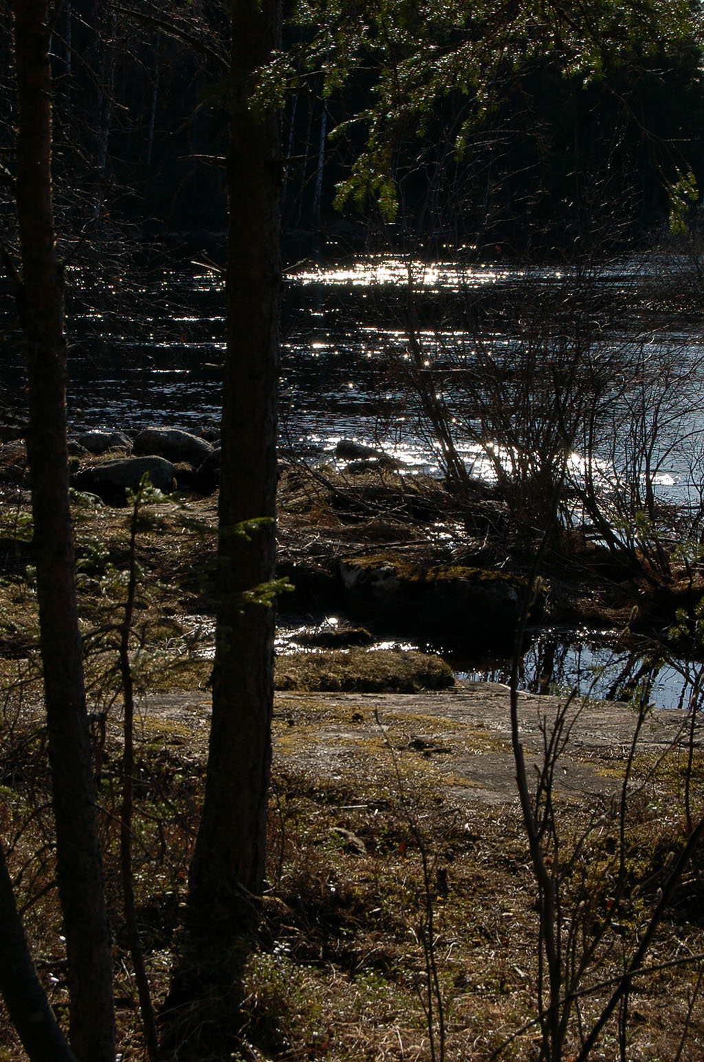 Bureälven