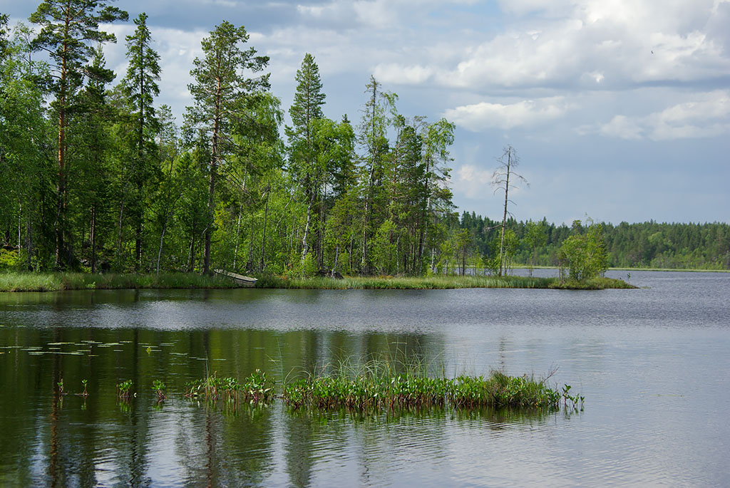 Holmsjön