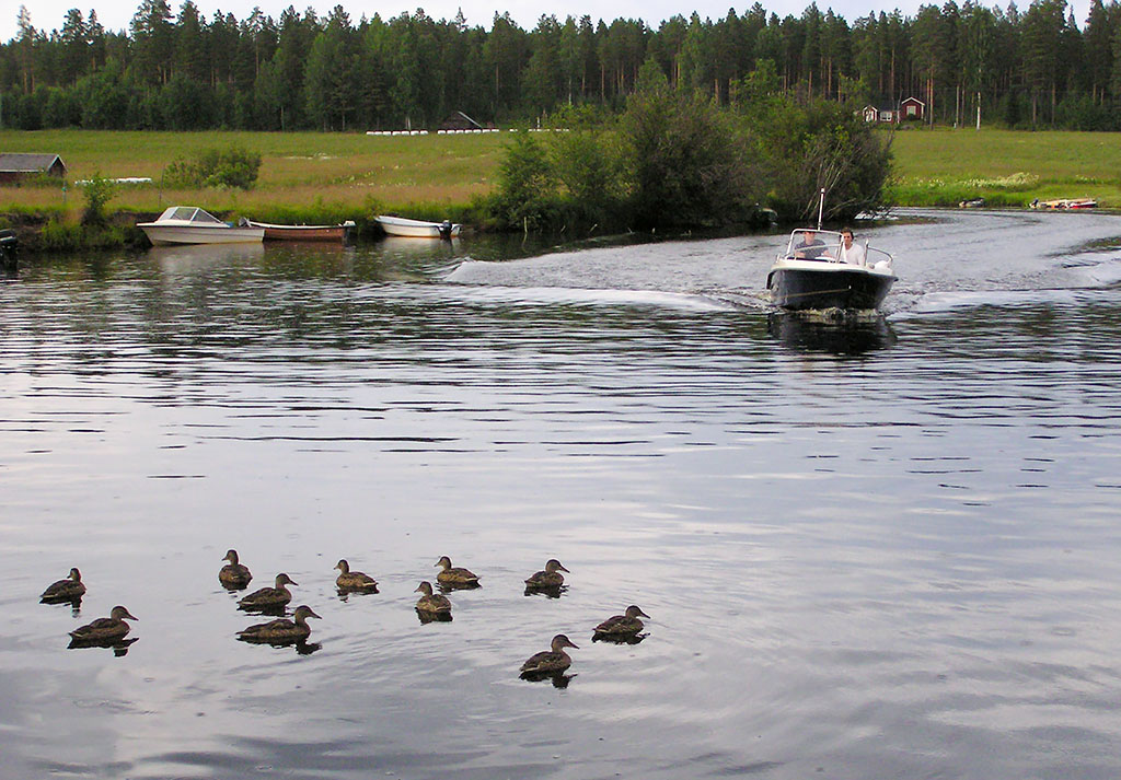 Falmarksforsen