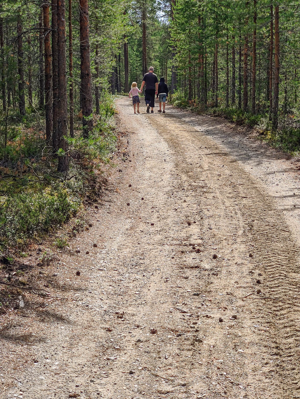 Promenad på heden