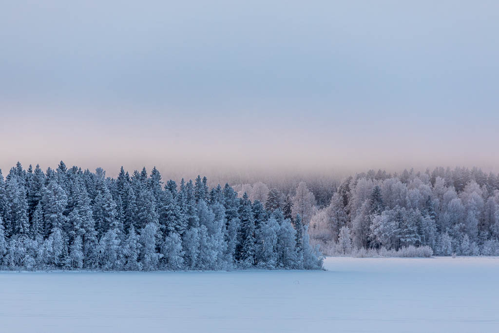 Vy över Falmarksträsket