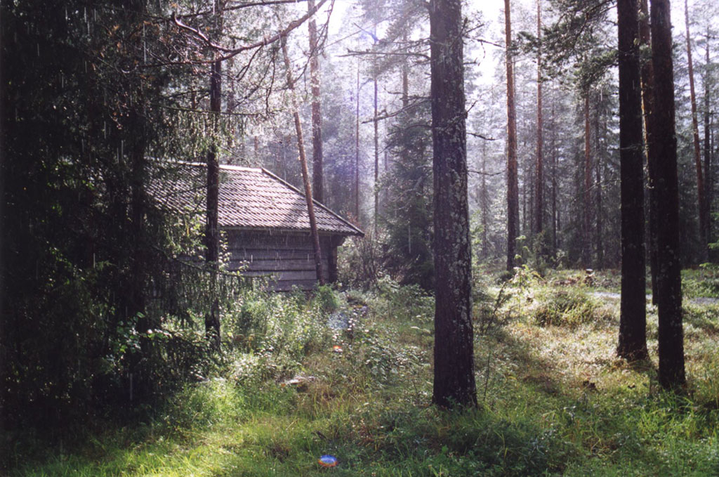 Lada i skog
