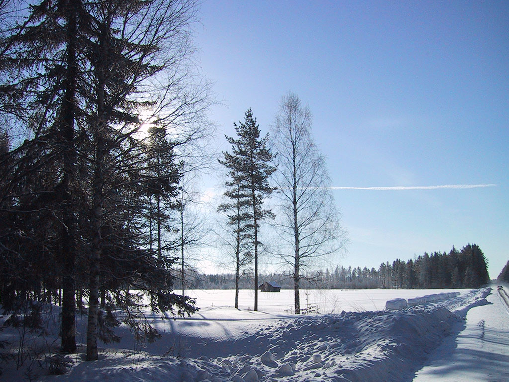 Östra Falmark