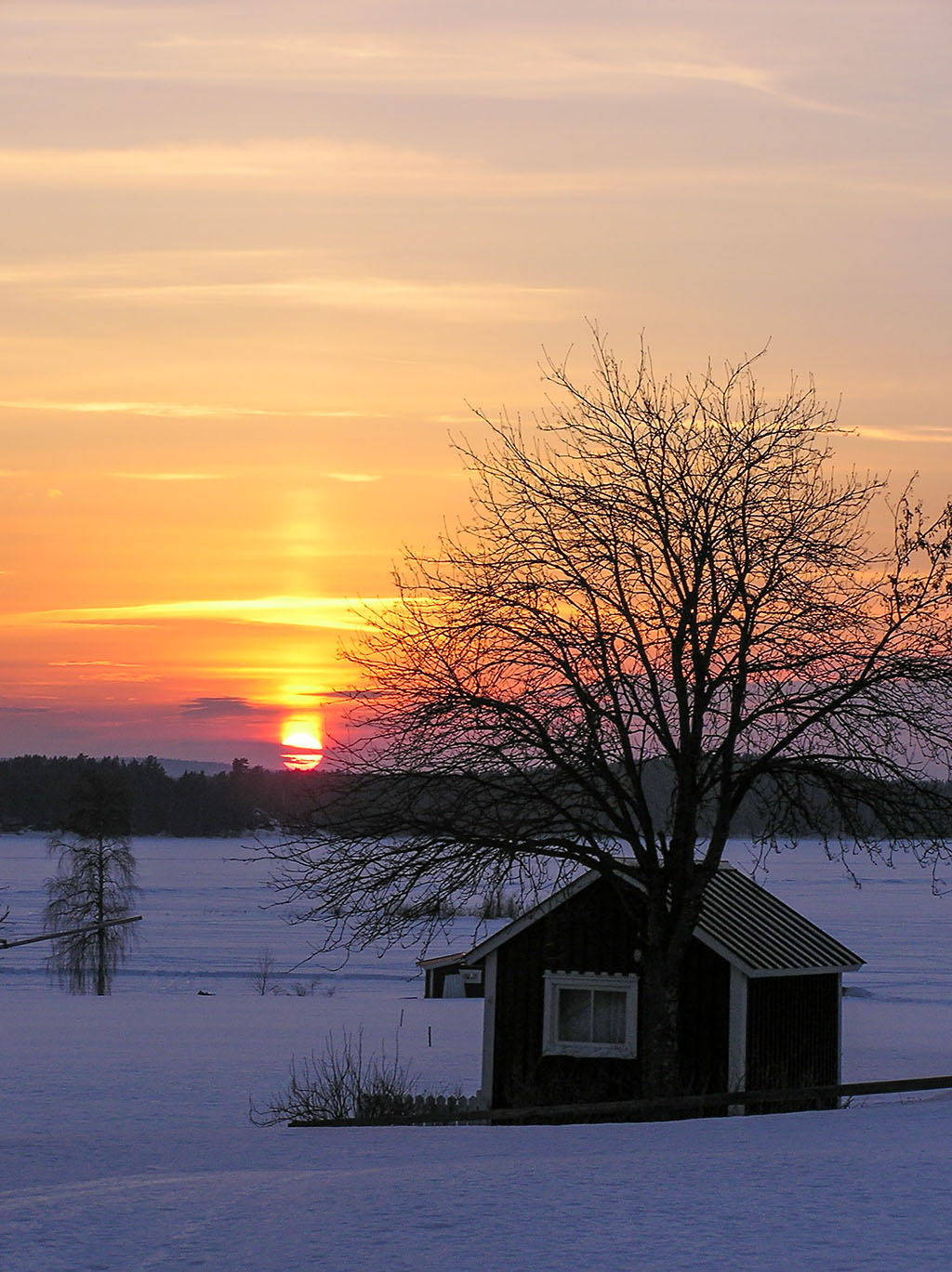 Östra Falmark