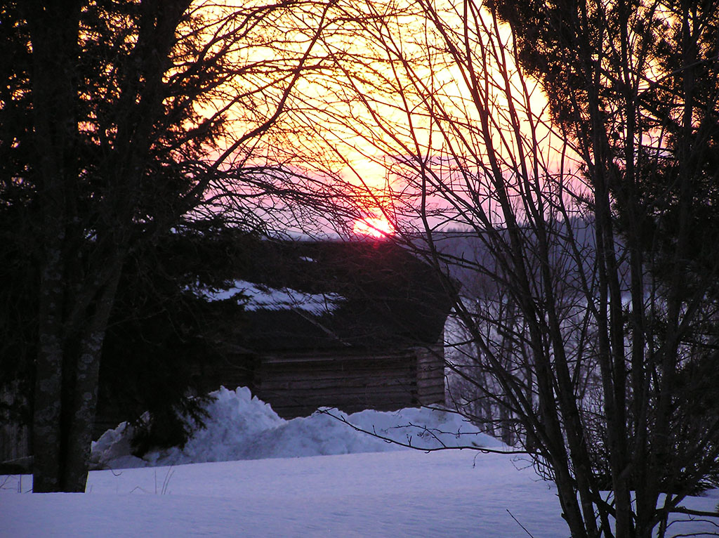 Östra Falmark