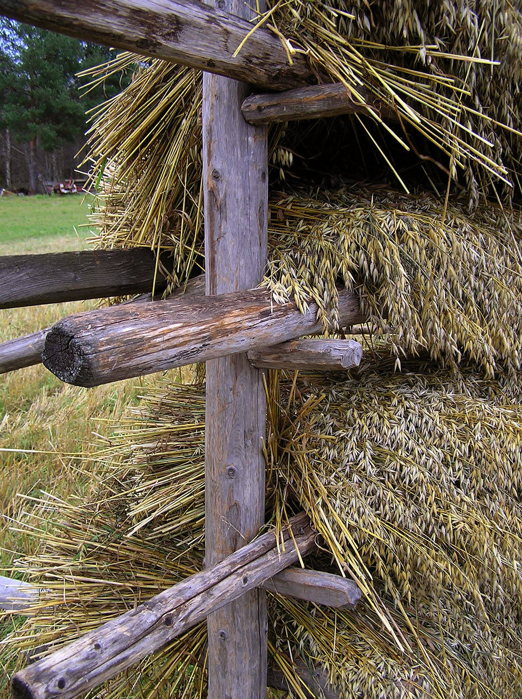 Halmhässja
