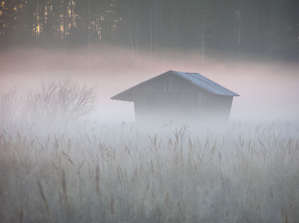 Dimma på lägdan